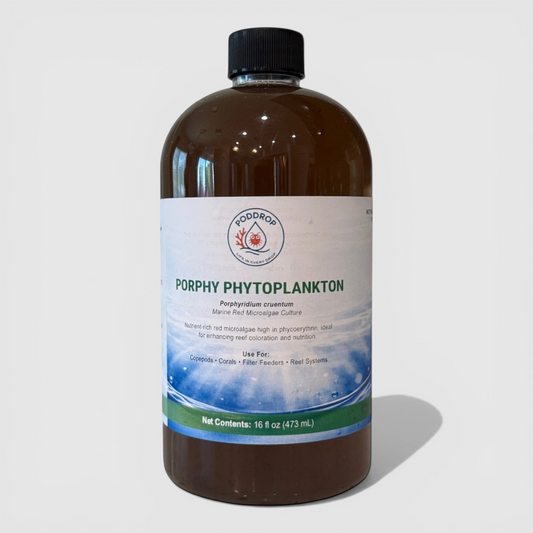 Ruby Rise – Triple Rhodomonas Microalgae Culture Pack - 16oz.