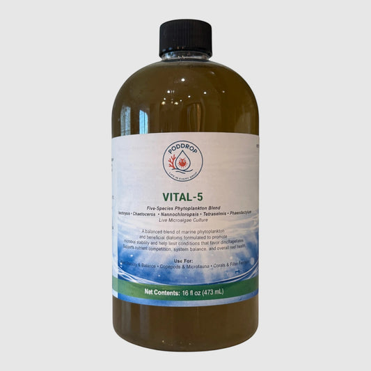 VITAL-5 | 5-species Microalgae Culture Blend