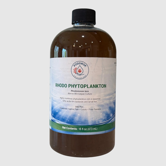 Rhodomonas lens Microalgae Culture