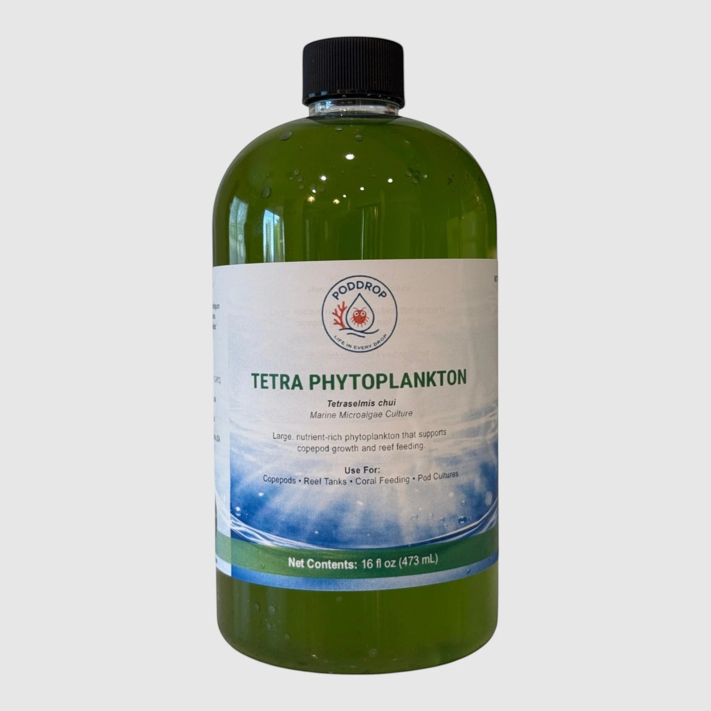 Tetraselmis chui Live Phytoplankton