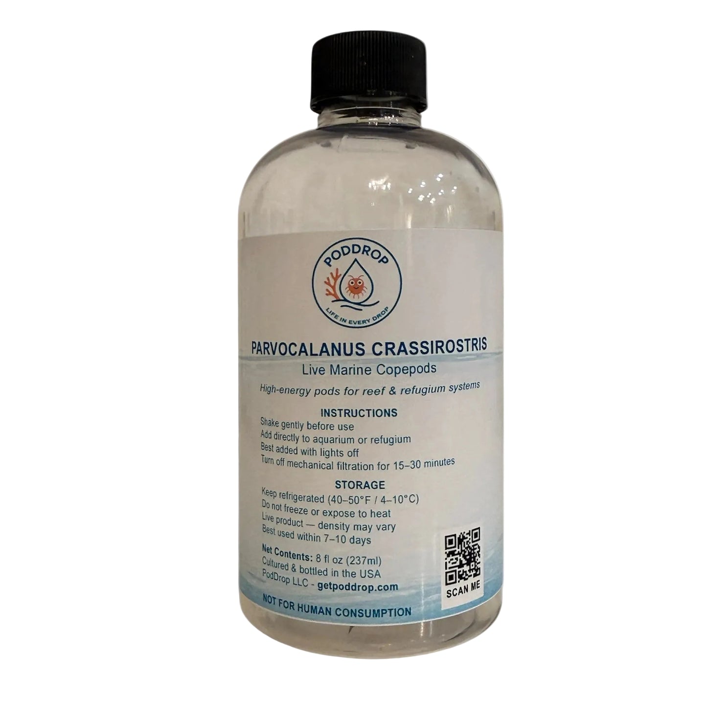 Parvocalanus crassirostris live marine copepods 8oz bottle with phytoplankton culture