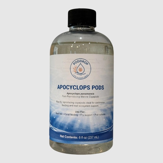 PodDrop Apocyclops panamensis live copepod culture for reef fish and coral feeding, 8 fl oz bottle.