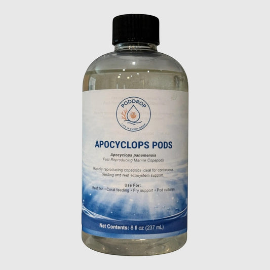 PodDrop Apocyclops Pods, fast-reproducing marine copepods in an 8 oz bottle for reef fish, coral feeding, and fry support.