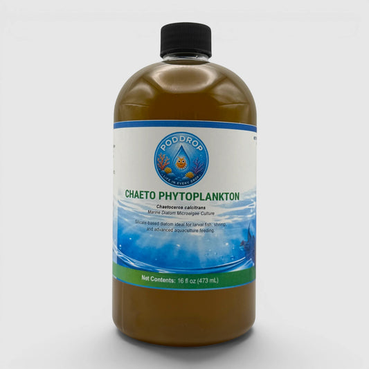 PodDrop Chaetoceros calcitrans marine diatom microalgae culture in a 16 fl oz bottle, ideal for larval fish, shrimp, and advanced aquaculture feeding.