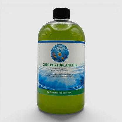 PodDrop Chlorella vulgaris marine microalgae culture, a dense, fast-growing green phytoplankton liquid supplement in a 16 fl oz bottle.