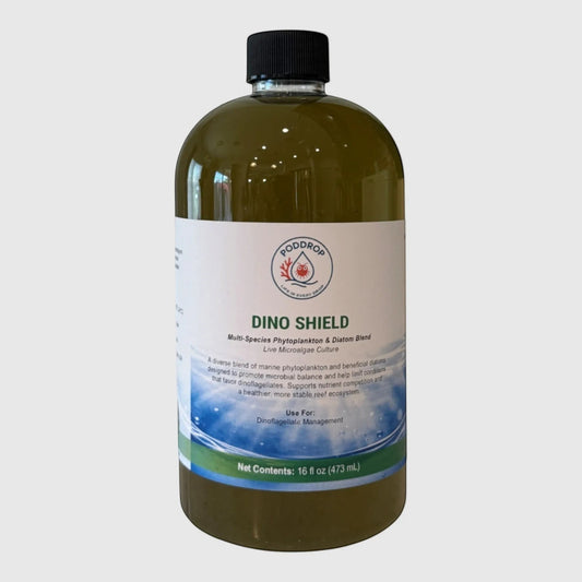 PodDrop Dino Shield live microalgae culture, a multi-species phytoplankton & diatom blend for dinoflagellate management in reef aquariums.