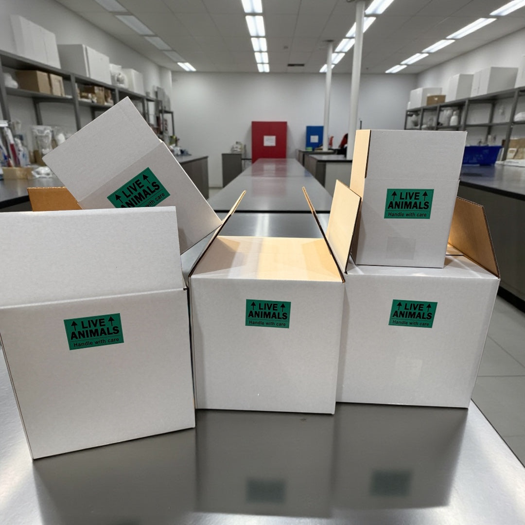 PodDrop live animal shipping boxes prepared for copepod and phytoplankton delivery in licensed aquaculture facility