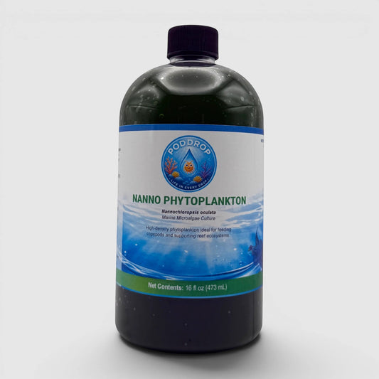 PodDrop Nannochloropsis oculata marine microalgae culture, high-density phytoplankton for feeding copepods and reef ecosystems.