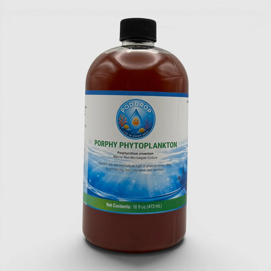 PodDrop Porphy Phytoplankton Marine Red Microalgae Culture, 16 fl oz bottle with red liquid.