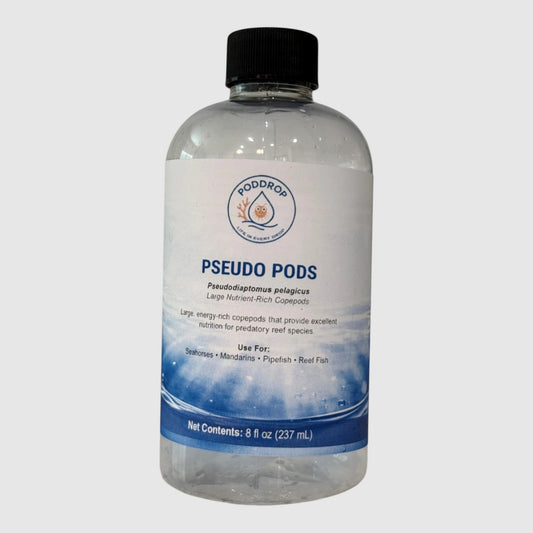PodDrop Pseudodiaptomus pelagicus live copepods in a clear bottle, ideal for reef fish like seahorses and mandarins.