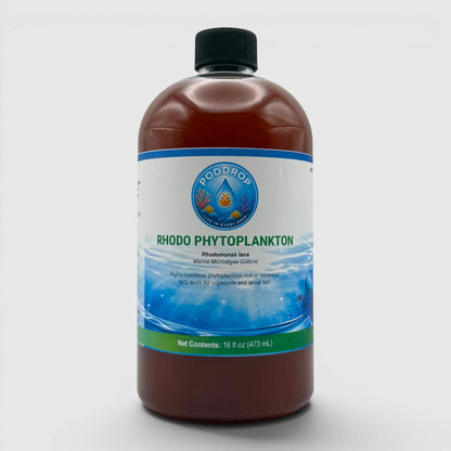 PodDrop Rhodomonas lens phytoplankton culture, a marine microalgae rich in essential fatty acids for copepods and larval fish.