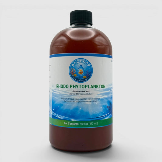 PodDrop Rhodomonas lens phytoplankton culture, a marine microalgae rich in essential fatty acids for copepods and larval fish.
