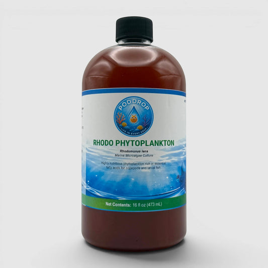 PodDrop Rhodomonas lens phytoplankton culture in a 16 oz bottle, providing red pigmentation and essential fatty acids for marine life.