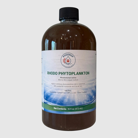 PodDrop Rhodomonas phytoplankton marine microalgae culture for copepods, larval fish, SPS corals, and filter feeders.