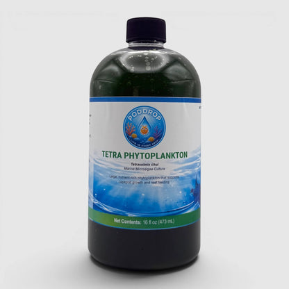 PodDrop Tetraselmis chui marine microalgae culture, a large, nutrient-rich phytoplankton for reef feeding.