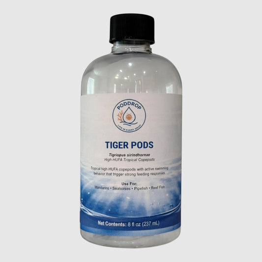 PodDrop Tiger Pods: Tigriopus sirindhornae high-HUFA tropical copepods for reef aquariums, enhancing coral color.