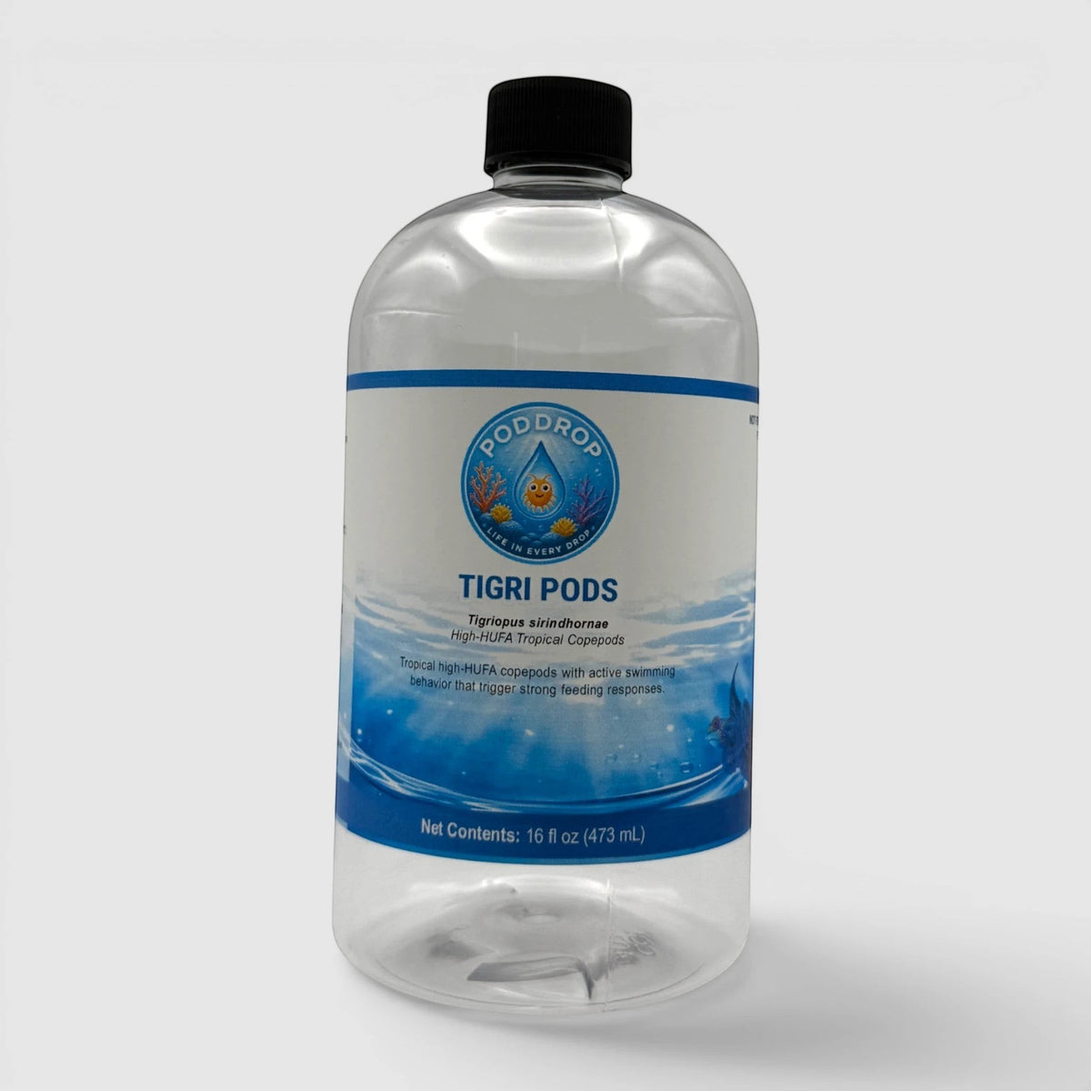 PodDrop Tigriopus sirindhornae Copepods, live copepod culture, product photo 3.