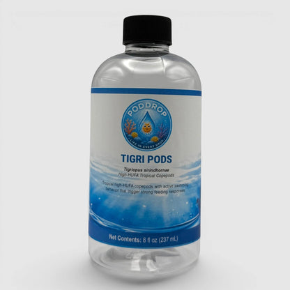 PodDrop Tigriopus sirindhornae Copepods, live copepod culture, product photo 1.