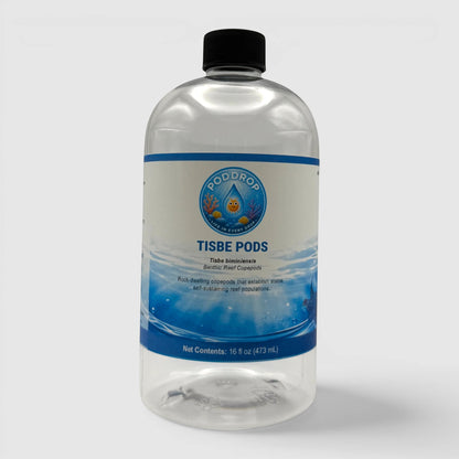 PodDrop Tisbe biminiensis copepods in a 16 fl oz bottle, for reef aquariums. Benthic reef copepods.