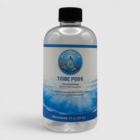 PodDrop Tisbe biminiensis copepods in an 8 fl oz bottle, for reef aquariums. Benthic reef copepods.