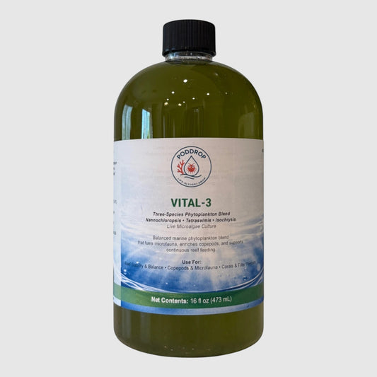 PodDrop VITAL-3 live phytoplankton blend in a 16 oz bottle, a green liquid for reef stability, copepods, microfauna, corals, and filter feeders.