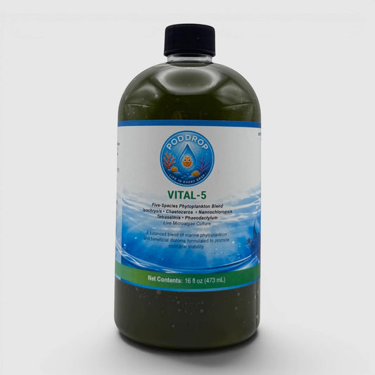 PodDrop VITAL-5 is a 5-species phytoplankton blend in a 16 fl oz bottle, designed for reef aquaria nutrition and microbial stability.