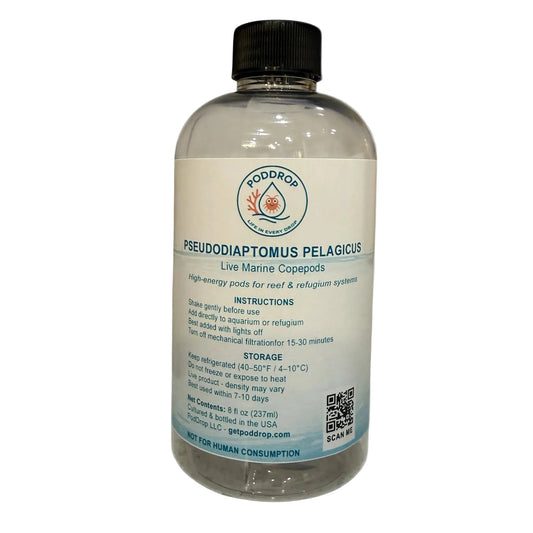 Bottle of Pseudodiaptomus Pelagicus live marine copepods with a label on a white background