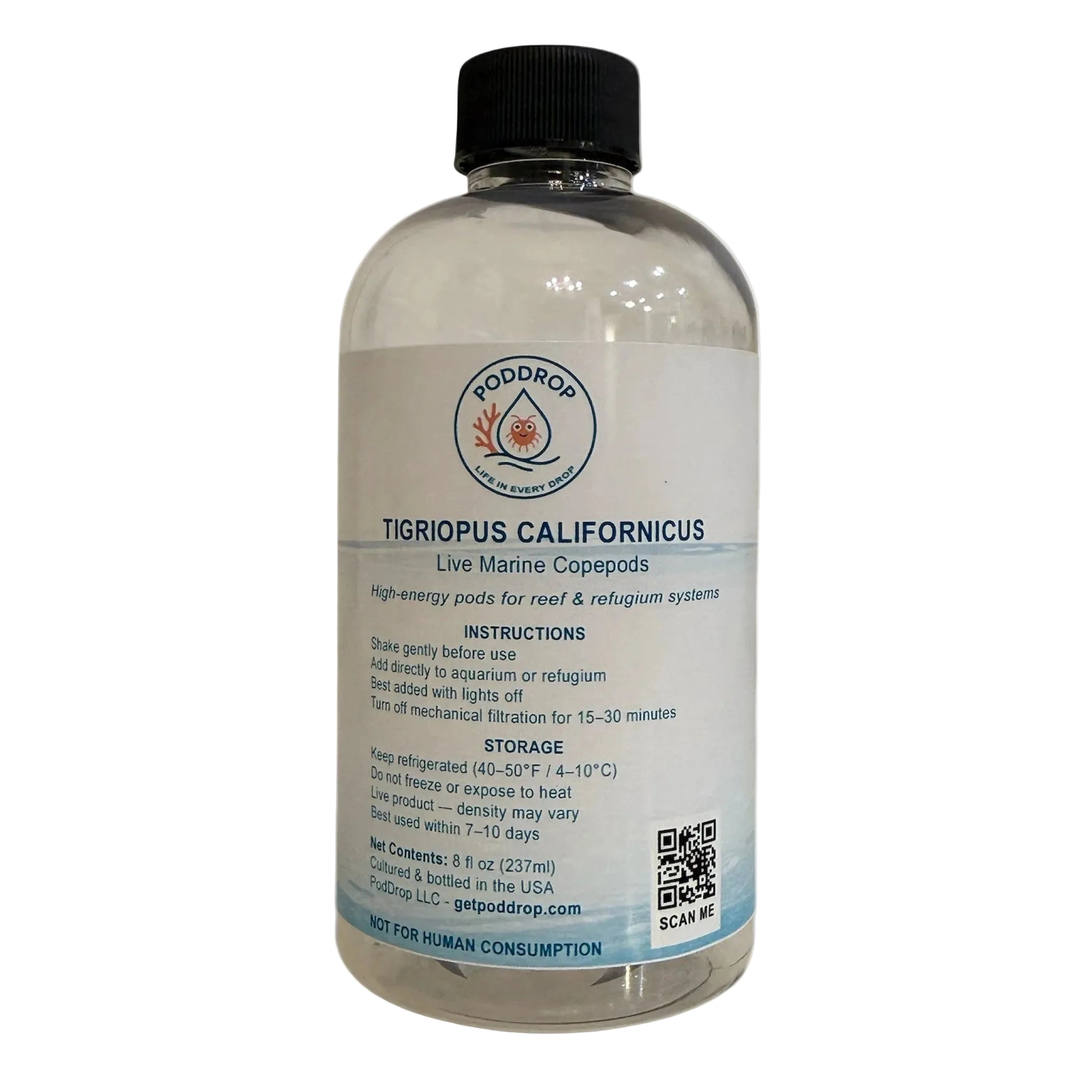 Tigriopus californicus live marine copepods 8oz bottle with phytoplankton culture
