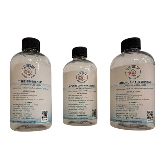 Triple Threat – Three Species Live Copepod Bundle PodDrop